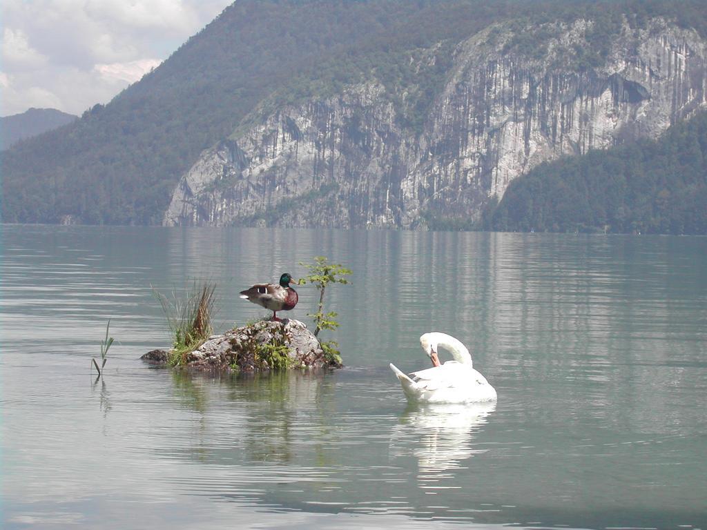 Landhaus Leitner Am Wolfgangsee Sankt Gilgen Exterior foto
